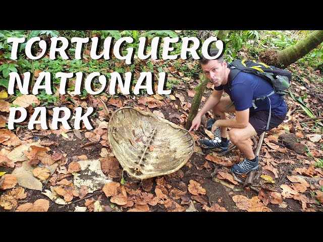 |E97| Exploring Tortuguero National Park in Costa Rica