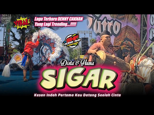 TRENDING TERBARU ! SIGAR (Denny Caknan) Cover Djandut ROGO SAMBOYO PUTRO - SHAFIRA AUDIO