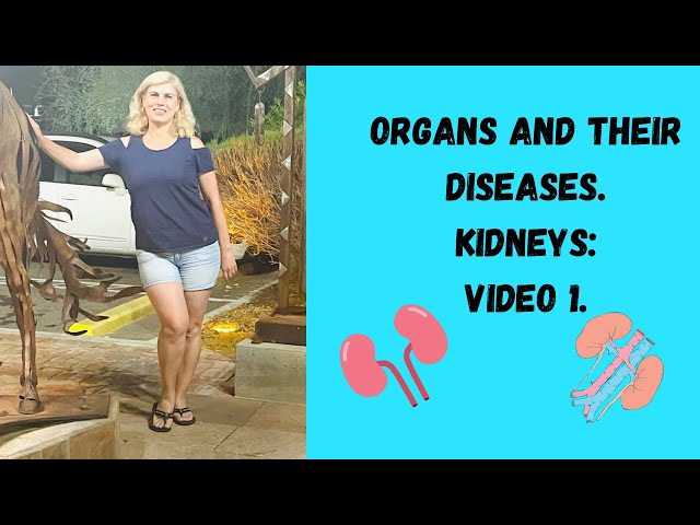 Medical Assistants: Organs and diseases series: Kidneys