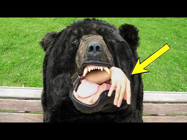 THESE ARE FLUFFY, The World's 10 Strangest Bear Species