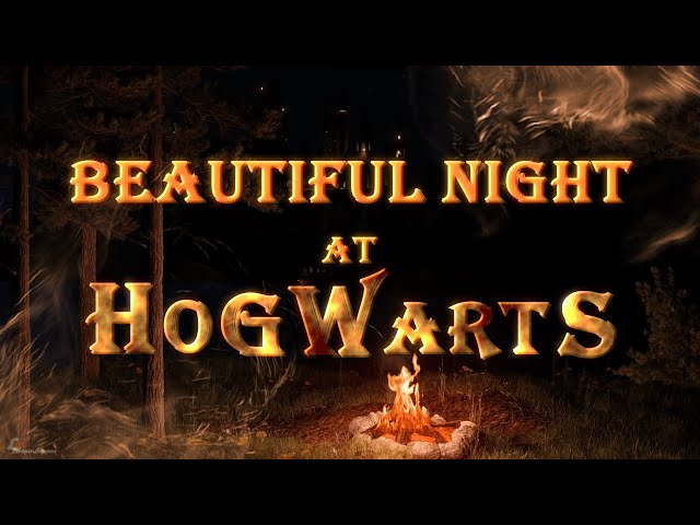 Harry Potter | Cozy Night at Hogwarts : Ambience & Music