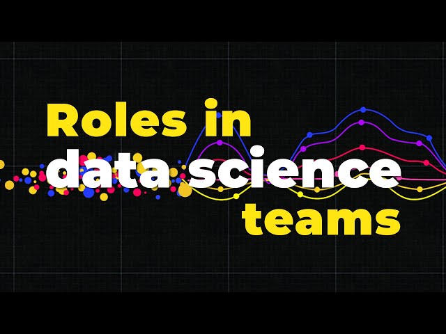 Roles in Data Science Teams