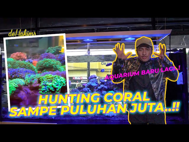 WADUUH RUMAH JOGLO MAU ADA AQUARIUM AIR LAUT NIH....