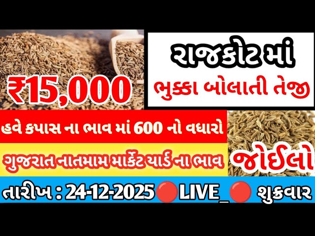 Commodity price 24.1.2025 rajkot marketing yard na bhav | saurashtra ajna bajar bhav |commodity rate