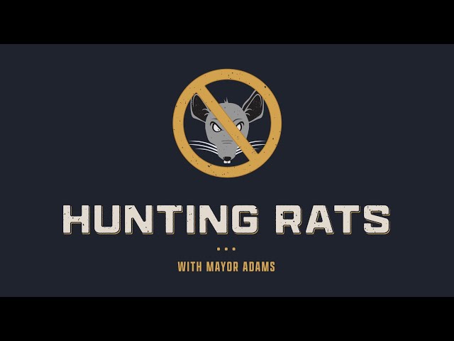 Hunting Rats with Mayor Adams