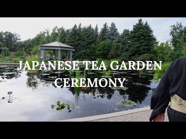 Denver Diaries: Japanese tea garden ceremony, Going away party, Famers market, and Matcha Lattes