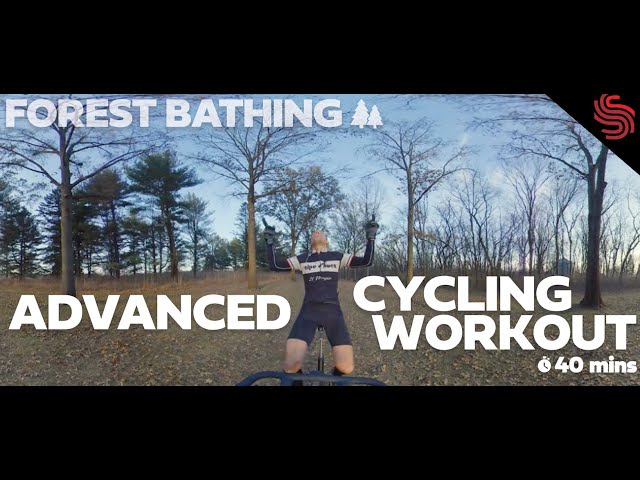 Tone Up in 2024 with This Forest 360 VR Cycling Experience || Surreal Cycling By Todd Smith