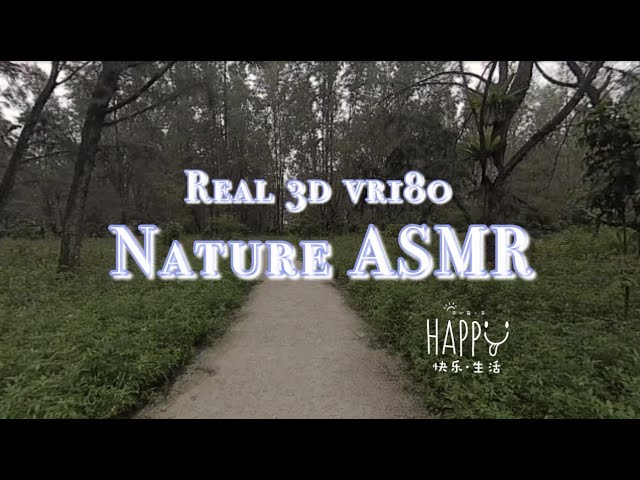 ASMR 3d VR180 Real Nature Real Sounds Insta360 EVO 新加坡