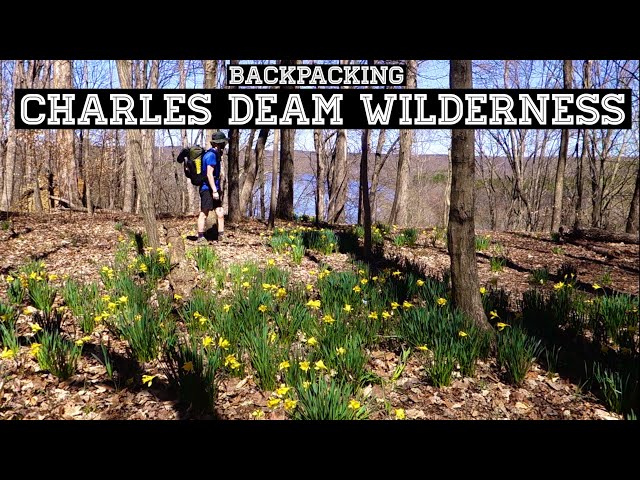 SOLO BACKPACKING CHARLES DEAM WILDERNESS // 30 Miles of Spring Wildflowers in the Indiana Hills