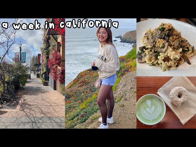 california diaries | a week to heal, boba dates, and lots of food