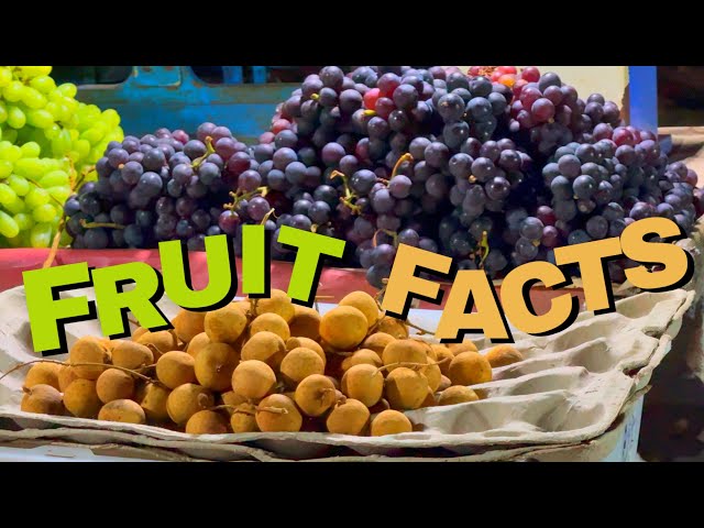 Fun Facts about Fruits: Discover Nature’s Sweetest Secrets!