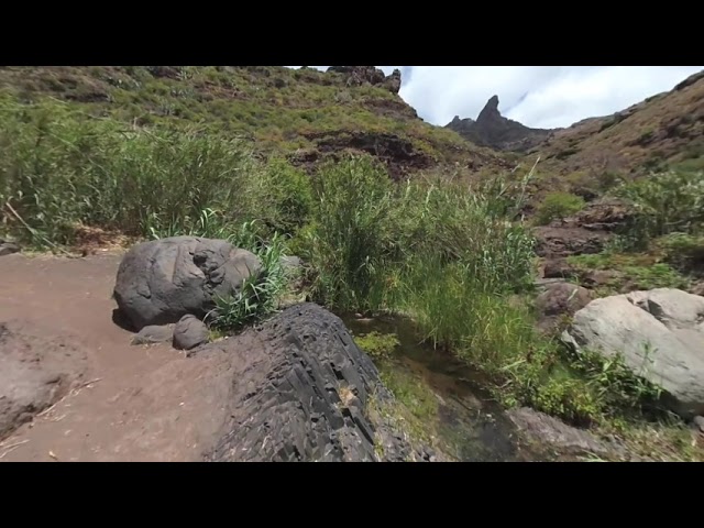 VR 180 3D in the Afur Barranco Tenerife