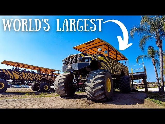 You MUST SEE this Monster Truck Safari Near Orlando at Showcase of Citrus!