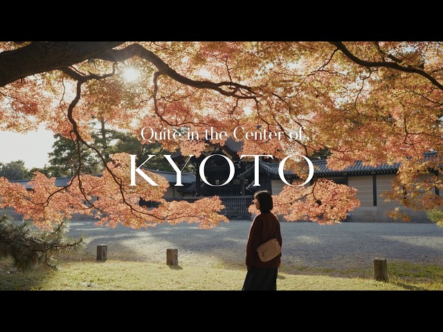 Quiet Day in the Center of KYOTO 🍁 Japan Travel Vlog