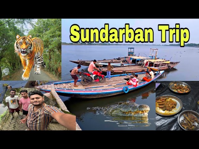 Sundarban Trip 😍🐅 #hindibongtraveller #sundarban #youtuber #bikeride