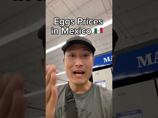 USA vs Mexico Egg Prices🍳💰