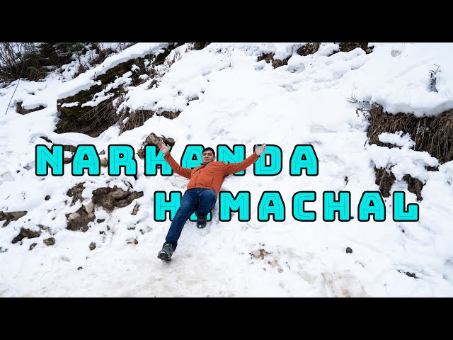 Narkanda Himachal Pradesh After Snowfall | Mesmerizing Winter Views & Travel Guide