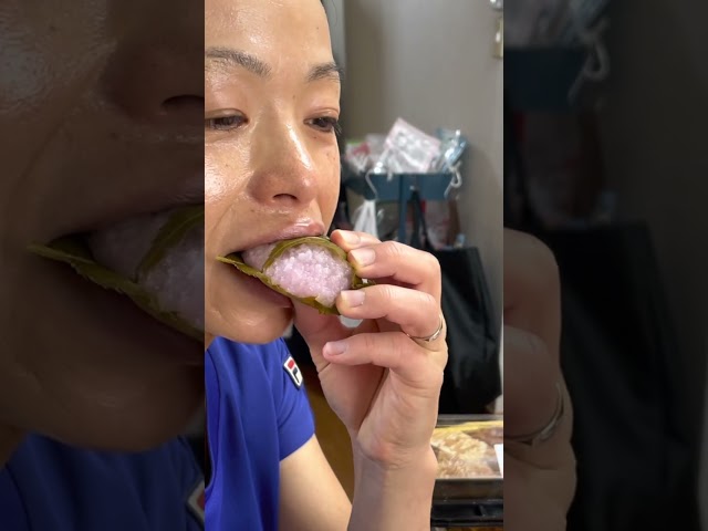 Japan's Spring Mochi, Sakura🌸(字幕ありSubtitle included!)