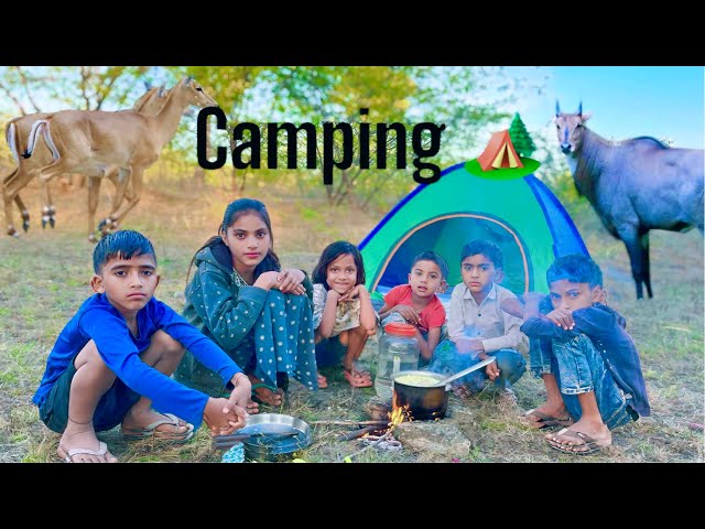 24 hour survival challenge  Solo Camping In Forest And Cooking! Solo Camping videos |  #solocamping