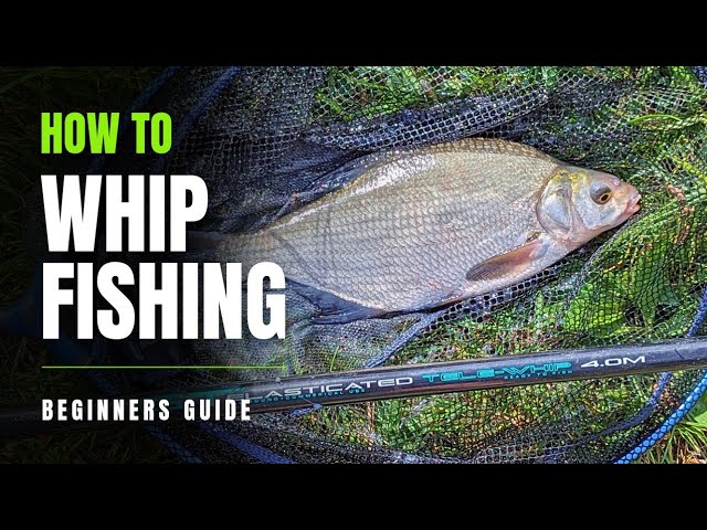 Whipping Fish: The Basics (Beginner's Guide)