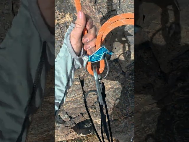 Managing Climbing Rope Slack for FAST Rappel Transitions