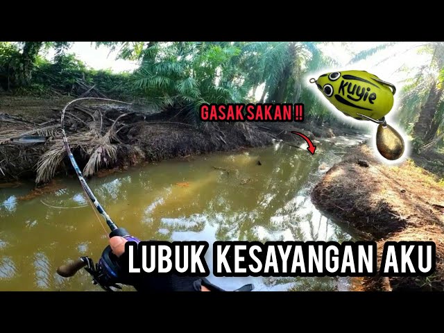 Casting Haruan | DISINILAH LUBUK HARUAN/GABUS | DEVIL CRAFT CASTELA | Vlog342