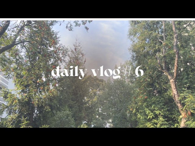 Daily Vlog |  🍳 Frittata, 📖 Murakami  🌿 Chia Pudding