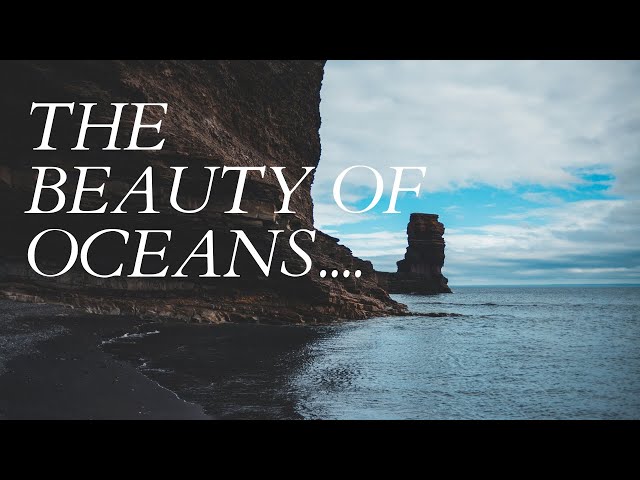 The Beauty Of Oceans/Good vibes/Relaxing Music/ Feel The Positivity/Wonders Of Oceans For 10 Minutes