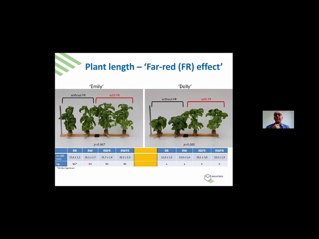 The importance of the variety choice for vertical farming