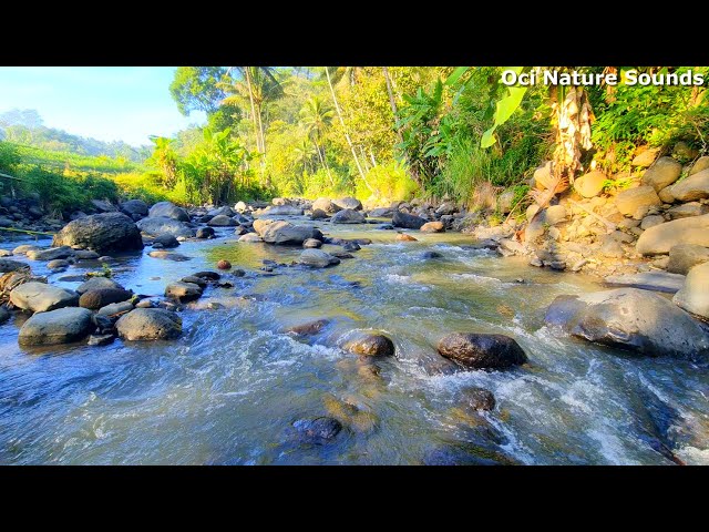 Beautiful River Sounds For Sleeping, Make You Sleepy, Sleep Soundly Tonight