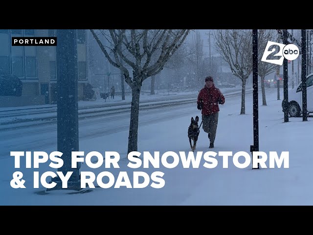 Tips for handling Portland's first snowstorm of the year