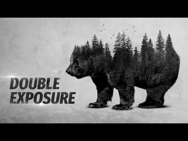 GIMP Tutorial : Double Exposure Bear Photo Manipulation