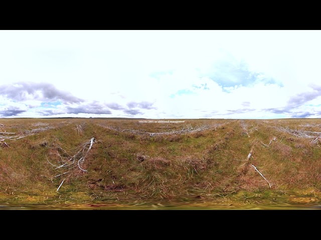 Peatland Restoration 4 Chronosequences"