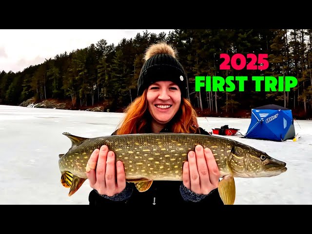 2025 City Slicker Northern Pike #icefishing #pikefishing #ontario #familyfishing