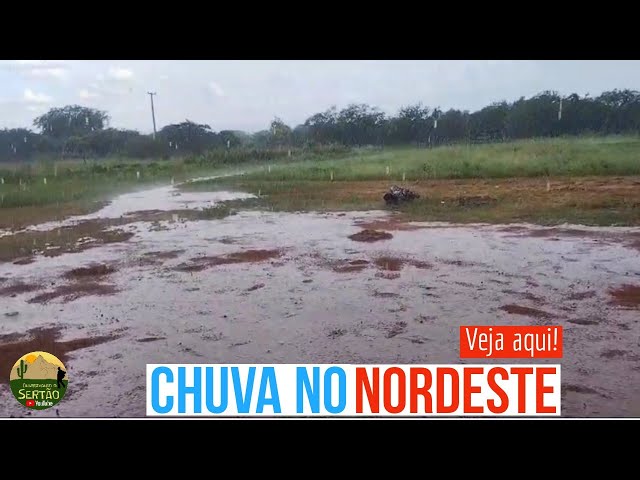 Chuva no Nordeste: Veja quais os Municípios beneficiados v164