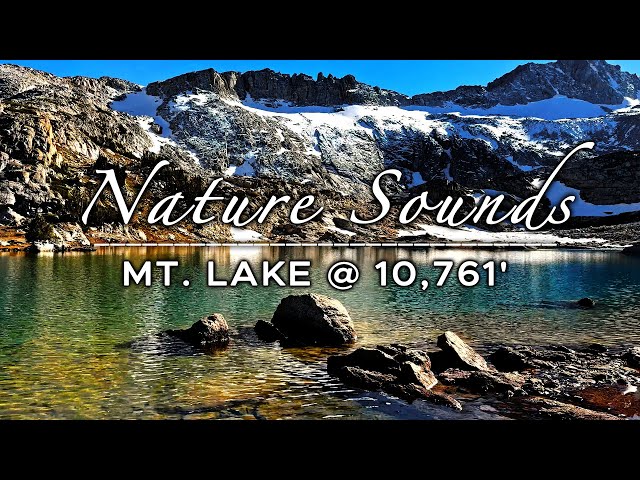 Soothing 10k Mountain Lake & Calm Birds Sounds, Nature Sounds, Study Sounds, Sleep Sound