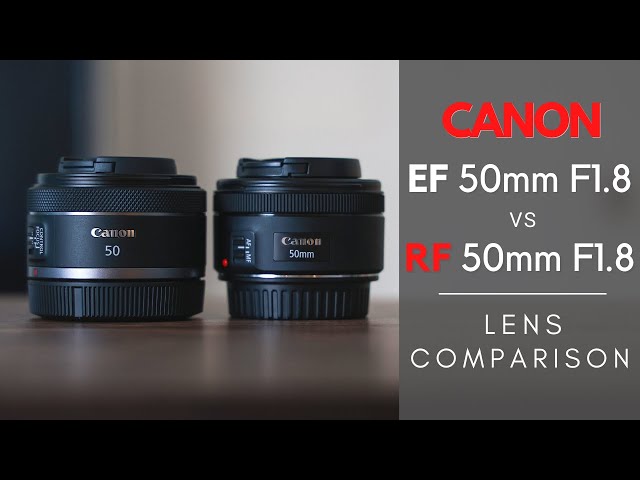 Canon RF 50mm f/1.8 STM vs. EF 50mm f/1.8 STM Lens Comparison