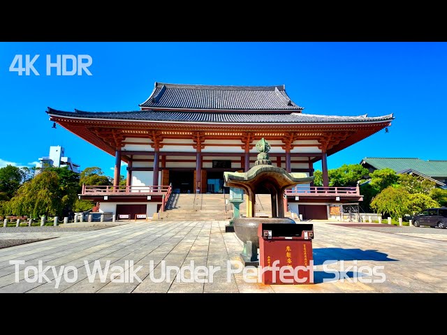 Tokyo Walk Under Perfect Skies : From Historic Temples to Local Neighborhoods | Japan | 4K/HDR |