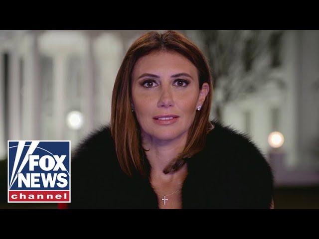 Alina Habba: Trump is protecting our little girls