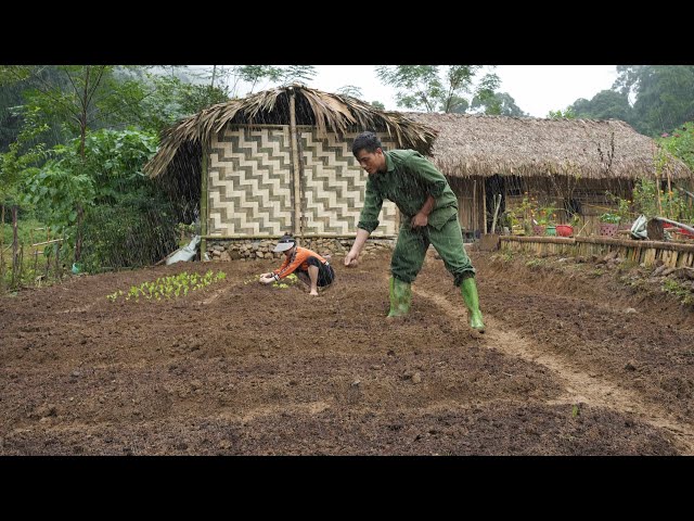 Animal Care, Vegetable Growing, Cassava Harvesting, Gardening | EP. 06