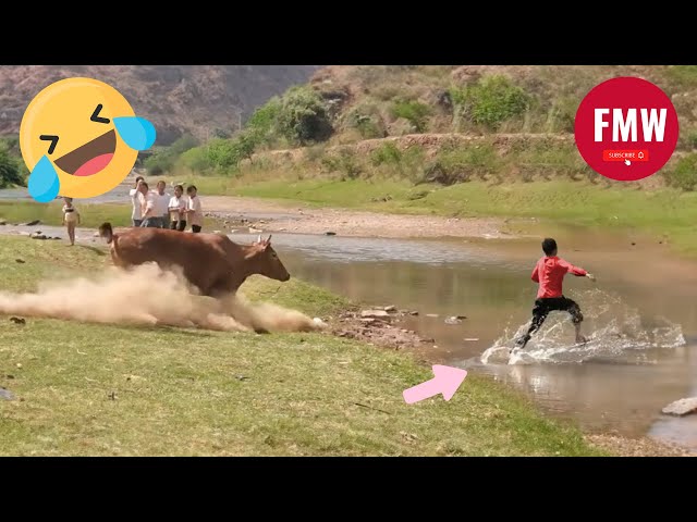 Funny & Hilarious People's Life 😂 #65 - Try not to Laugh | Funny Fails Compilation 2024