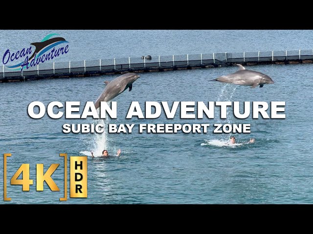 Ocean Adventure Full Tour and Shows! | Subic Bay Freeport Zone | Walking Tour | Philippines