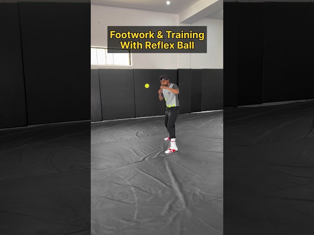 Footwork & Training With Reflex Ball🥊👀