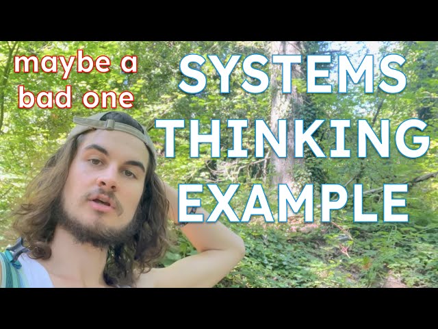 An Example of Systems Thinking || Systems Theory