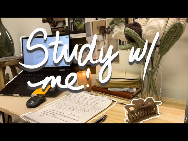 Study w/ me ~ 20 mins timer