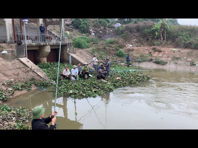 Du lịch bụi và câu cá đang phát trực tiếp!