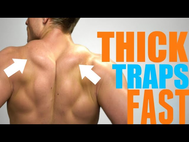 3 Exercises to get THICK Muscular Traps FAST