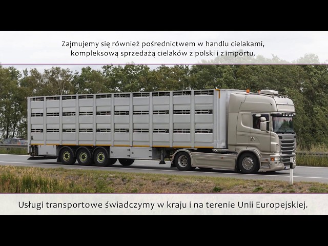 Transport zwierząt hodowlanych Łazy Biegonickie Mk Bovo Sprzedaż Cielaków i Usługowy Transport