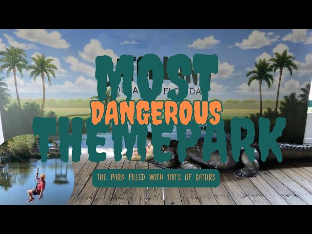 Is This the Worlds Deadliest Theme Park?  Gatorland Vlog