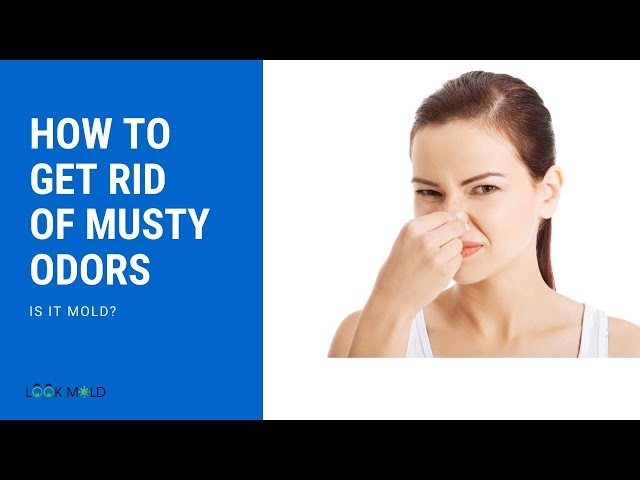 How To Get Rid Of Musty Odors or Smell - Is It Mold?